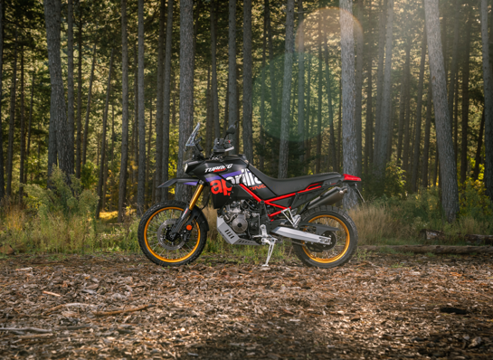 Apriliatuareg,DEF,JPG 22